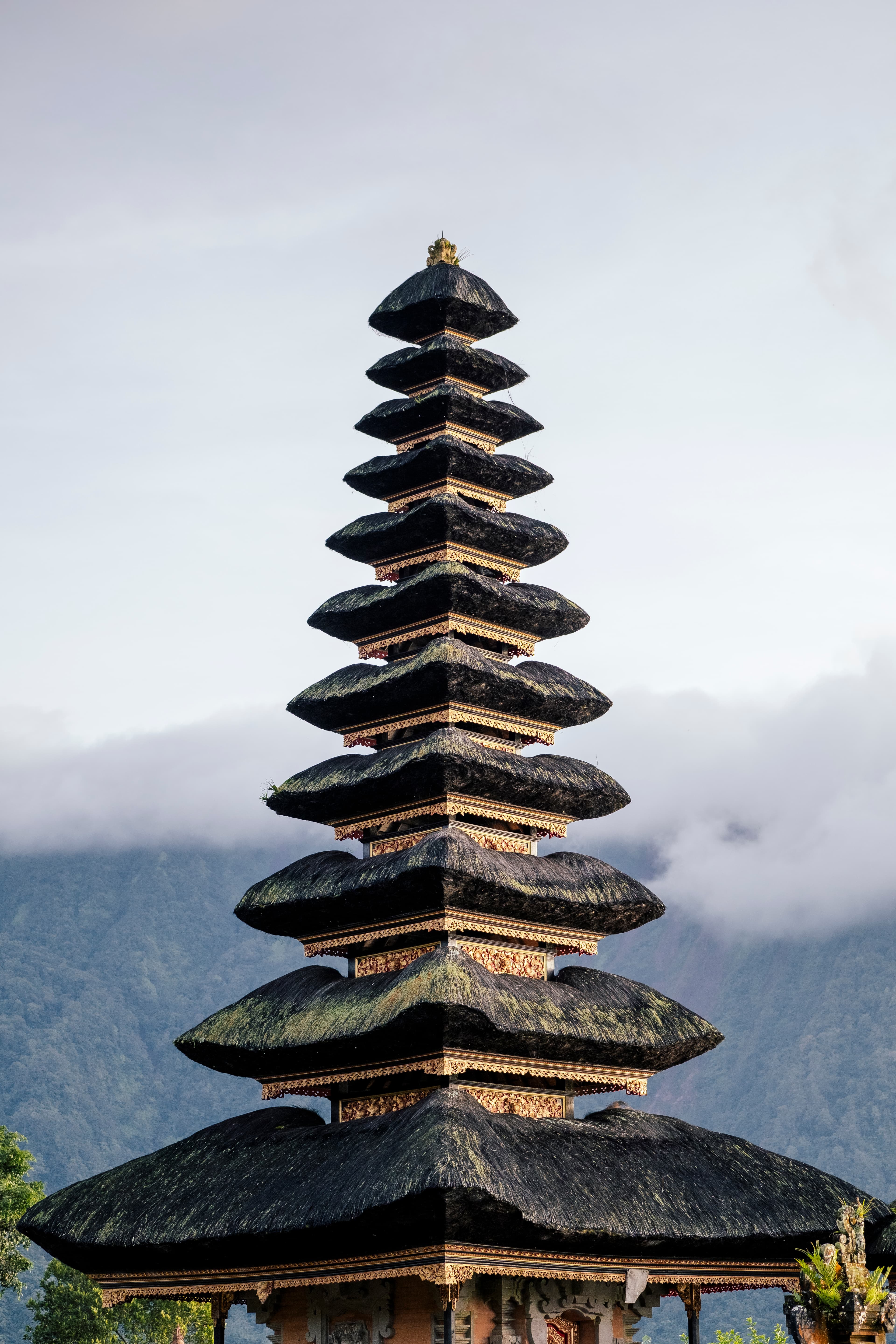 Guided trek through rice terraces below Calao
